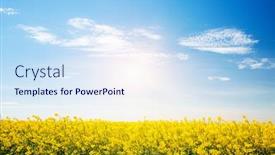  Presentation with agrarian - Cool new PPT theme with bright-yellow-canola-field backdrop and a sky blue colored foreground