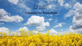  Presentation with vibrant blue - Slide deck with bright-yellow-canola-field background and a teal colored foreground