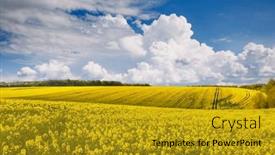  Presentation with bright yellow - PPT layouts consisting of bright-yellow-canola-field background and a gold colored foreground