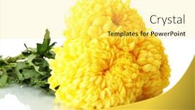  Presentation with bright yellow - 