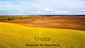  Presentation with agrarian - Audience pleasing slides consisting of bright-yellow-field-and-perfect backdrop and a gold colored foreground