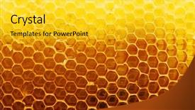  Presentation with bright yellow - Presentation consisting of bright yellow honeycomb background and a yellow colored foreground