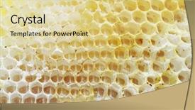  Presentation with honeycomb - Presentation theme with bright yellow honeycomb background and a blonde colored foreground