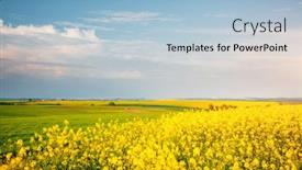  Presentation with earth land - Beautiful theme featuring bright-yellow-rapeseed-field backdrop and a light blue colored foreground