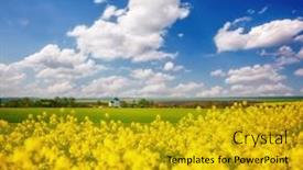  Presentation with bright yellow - Colorful theme enhanced with bright-yellow-rapeseed-field backdrop and a gold colored foreground