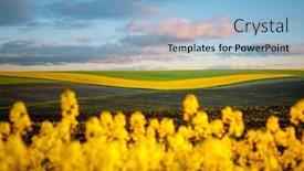  Presentation with earth land - Presentation enhanced with bright-yellow-rapeseed-field background and a light blue colored foreground