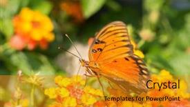  Presentation with butterfly - Audience pleasing PPT theme consisting of brightly colored lantana flower backdrop and a gold colored foreground