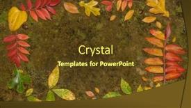  Presentation with lichen - Slide deck enhanced with brilliantly-colored-fall-leaves-arranged background and a tawny brown colored foreground