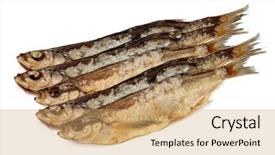 Presentation with fishes - Slide deck enhanced with brine - group of dry fishes isolated background and a coral colored foreground