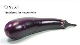  Presentation with eggplant - PPT theme enhanced with brinjal - eggplant in isolated background background and a  colored foreground