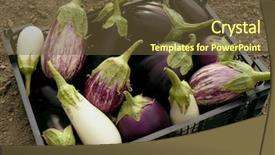  Presentation with plastic container - PPT theme having asian women were carrying luggage around the international airport she was traveling abroad to travel on weekends background and a gray colored foreground.