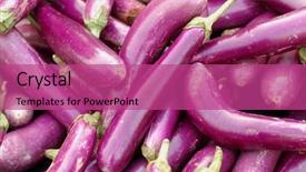  Presentation with plant disease phomopsis blight of brinjal - Slides enhanced with brinjal background background and a  colored foreground