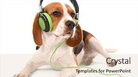  Presentation with beagle dog - Colorful PPT theme enhanced with briquettes - beagle dog wearing headphones isolated backdrop and a lemonade colored foreground
