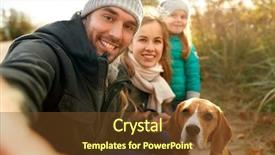  Presentation with beagle dog - Presentation theme having briquettes - family pets and people concept background and a tawny brown colored foreground