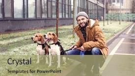  Presentation with dog park dogs plays - Cool new PPT theme with briquettes - handsome young hipster walking his backdrop and a mint green colored foreground