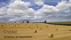  Presentation with hay field - Theme featuring briquettes of dry hay in a field in the north of france background and a gold colored foreground