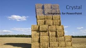  Presentation with hay field - Amazing presentation theme having briquettes of dry hay in a field in the north of france backdrop and a teal colored foreground