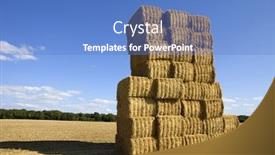  Presentation with hay field - Presentation theme with briquettes of dry hay in a field in the north of france background and a teal colored foreground