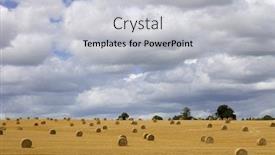  Presentation with hay field - Audience pleasing slide set consisting of briquettes of dry hay in a field in the north of france backdrop and a light gray colored foreground