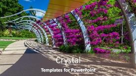  Presentation with south beach - Audience pleasing slide deck consisting of brisbane-aus-nov-18-2015 backdrop and a gray colored foreground