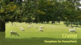  Presentation with sheep - Presentation with britain industrial - view of sheep resting background and a tawny brown colored foreground