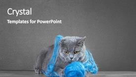  Presentation with yarn - Amazing slides having playing with ball of yarn backdrop and a gray colored foreground