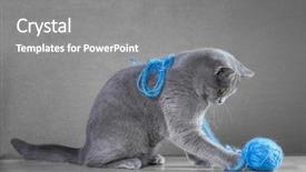  Presentation with yarn - Presentation having playing with ball of yarn background and a gray colored foreground