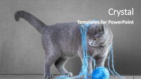  Presentation with yarn - Slide deck having playing with ball of yarn background and a gray colored foreground