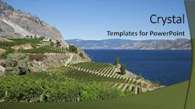  Presentation with british columbia - Audience pleasing presentation theme consisting of british columbia - scenic view of vineyard backdrop and a light blue colored foreground