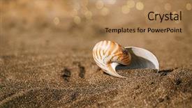  Presentation with sea shell - PPT theme consisting of british isles - nautilus pompilius sea shell seashell background and a coral colored foreground