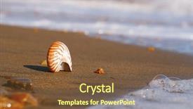  Presentation with sea shell - Presentation featuring british isles - nautilus pompilius sea shell seashell background and a tawny brown colored foreground