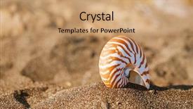  Presentation with sea shell - Theme featuring british isles - nautilus pompilius sea shell seashell background and a coral colored foreground