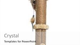  Presentation with cat - Presentation featuring british-longhair-cat-playiong background and a white colored foreground