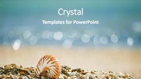  Presentation with sea shell - Slide deck consisting of british summer beach with nautilus background and a seafoam green colored foreground