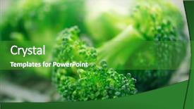  Presentation with fresh green broccoli - Colorful PPT theme enhanced with broccoli closeup of fresh green backdrop and a shamrock green colored foreground
