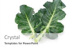  Presentation with fresh green broccoli - Slides enhanced with broccoli-leaf-isolated-on-white background and a white colored foreground