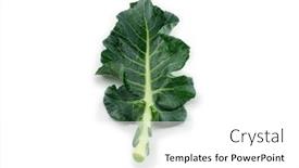  Presentation with fresh green broccoli - Amazing theme having broccoli-leaf-isolated-on-white backdrop and a white colored foreground