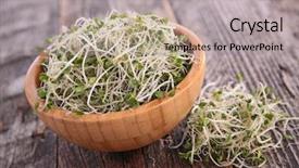  Presentation with sprout - Slide set enhanced with broccoli sprouts background and a light gray colored foreground