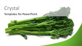  Presentation with white - Audience pleasing slides consisting of broccolini-isolated-on-white backdrop and a white colored foreground