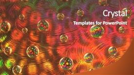  Presentation with colorful water droplets - Colorful slide set enhanced with brochure 3 - water drops reflecting colorful paper backdrop and a tawny brown colored foreground