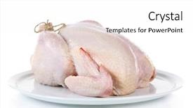  Presentation with chicken - Beautiful PPT theme featuring broilers - raw chicken isolated on white backdrop and a white colored foreground