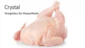  Presentation with chicken - Presentation design enhanced with whole raw chicken on white background and a white colored foreground