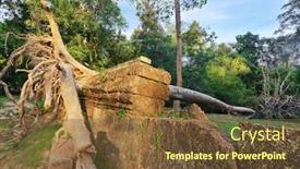  Presentation with cambodia - PPT layouts enhanced with broken big tree in jungle forest at angkor wat area in cambodia background and a tawny brown colored foreground