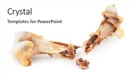  Presentation with broken bone - Presentation with broken chicken bone background and a white colored foreground