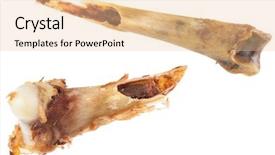  Presentation with broken bone - PPT layouts having broken chicken bone background and a lemonade colored foreground