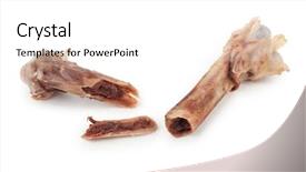  Presentation with broken bone - Slides having broken chicken bone background and a white colored foreground