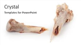  Presentation with broken bone - PPT layouts featuring broken chicken bone background and a white colored foreground
