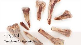  Presentation with broken bone - Beautiful theme featuring broken chicken bones backdrop and a lemonade colored foreground