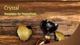  Presentation with broken glass - PPT layouts featuring broken-christmas-ball-with-glass background and a tawny brown colored foreground