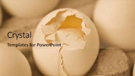  Presentation with broken egg - Cool new PPT theme with broken egg in a carton backdrop and a  colored foreground